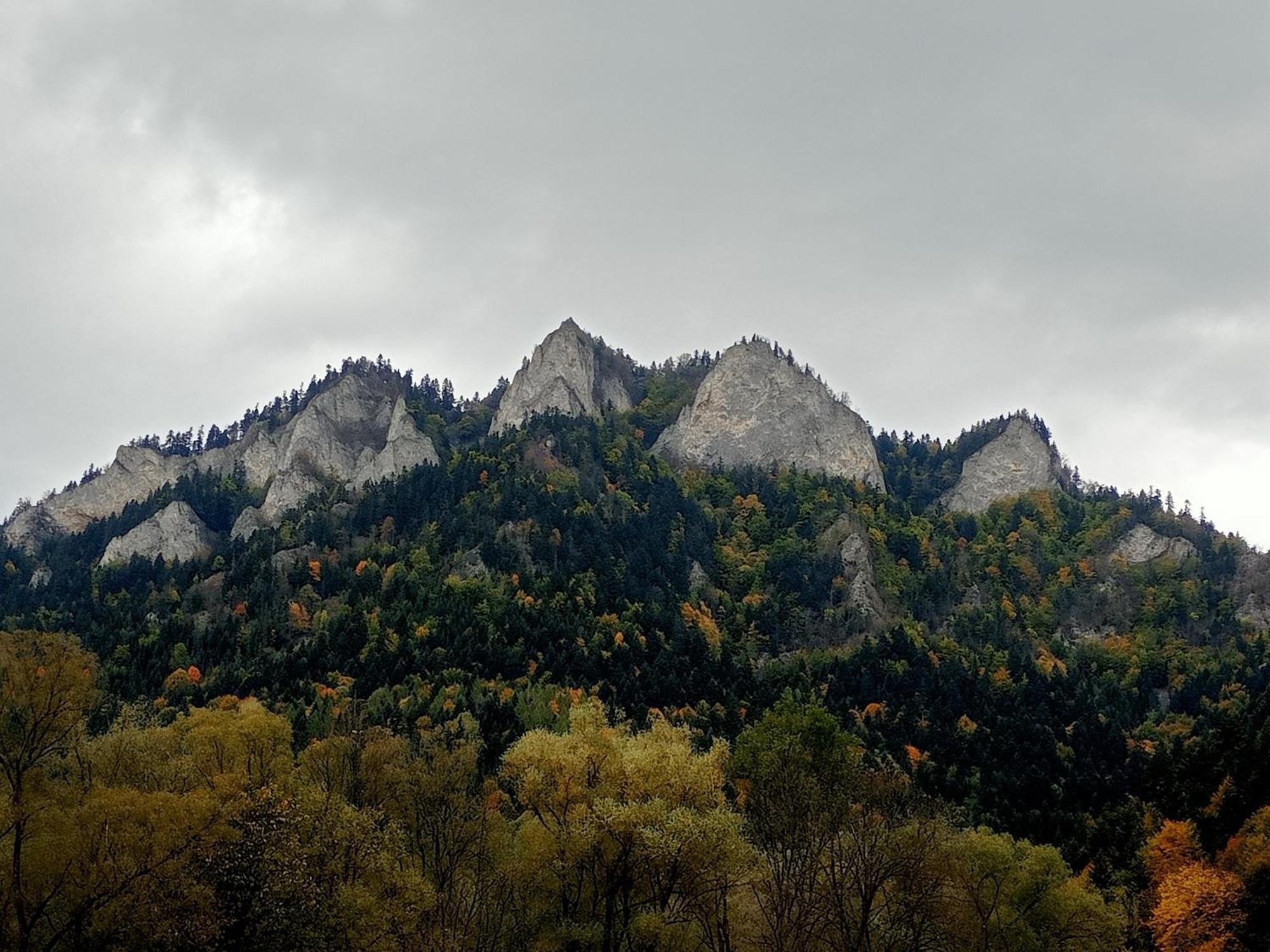 Hortensjowy Zakatek W Pieninach Sromowce Wyzne Exterior foto